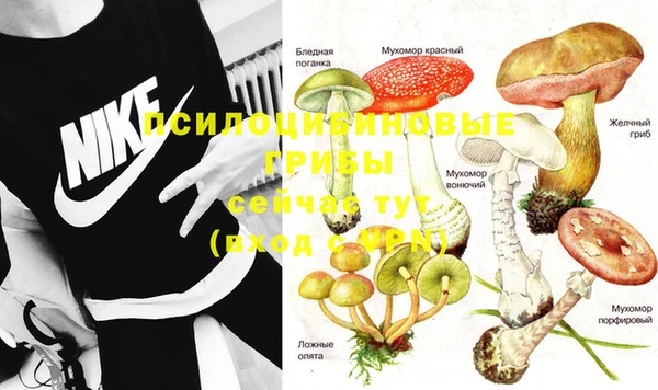 apvp Медногорск